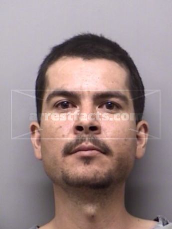 Ramon Avelar