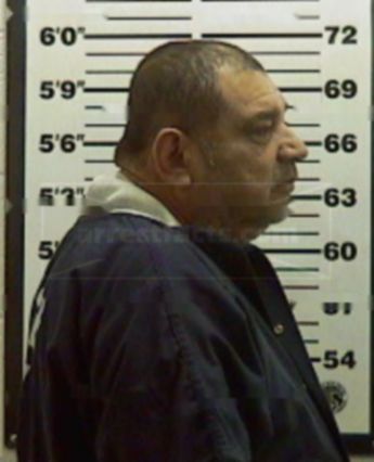 Domingo Castillo-Ortiz