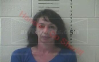 Christine Michelle Ladner