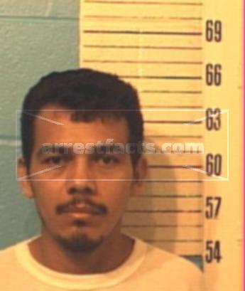 Jose Elmer Castillo-Medrano