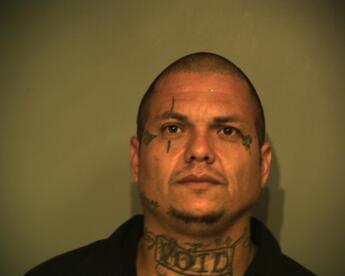 David Cortez Vela