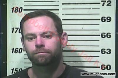 David Stephen Lovins