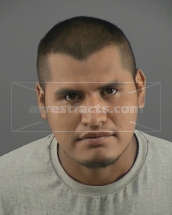 Jose H Cortez