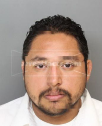 Frank Alex Morales