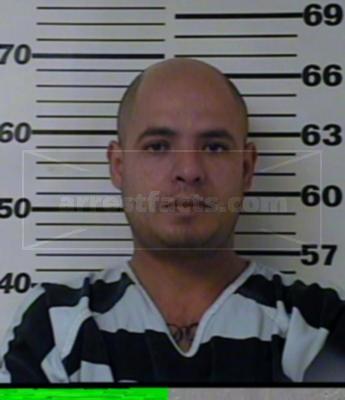Ricardo Mendoza Martinez