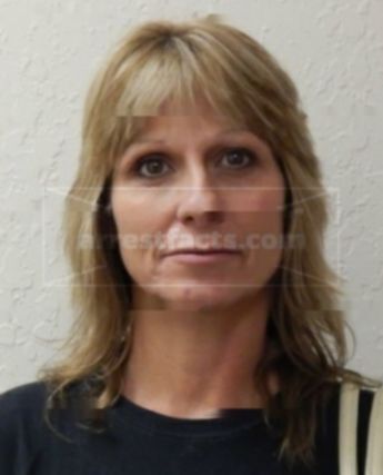Teresa J Stokes