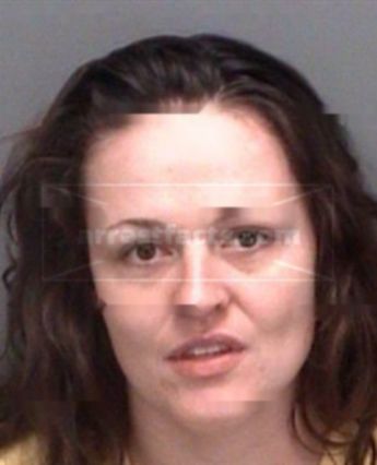 Mindi Denise Feagin