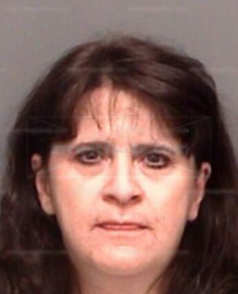 Shelly M Fallacaro