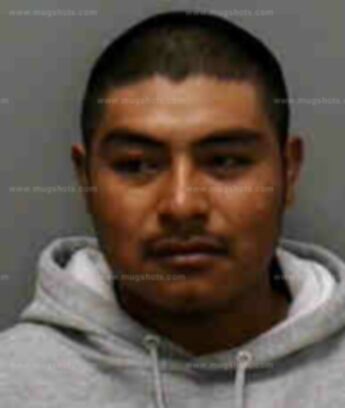 Jose Cruz