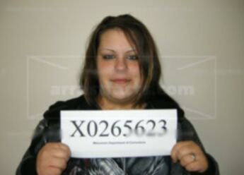 Heidi L Johnson