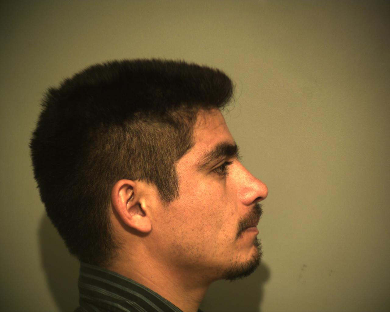 Arnulfo Sanchez Romero