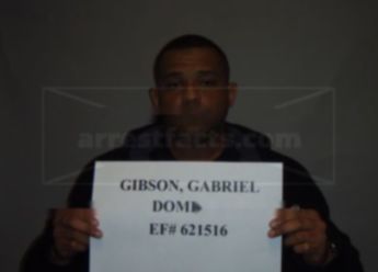 Gabriel Dominic Gibson