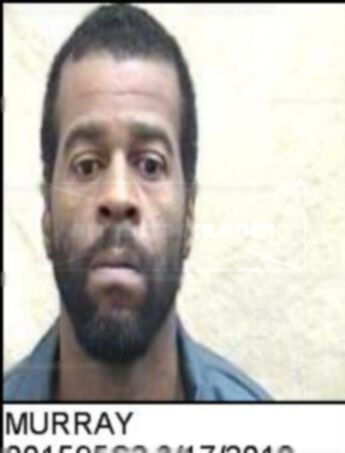Jesse Curtis Murray