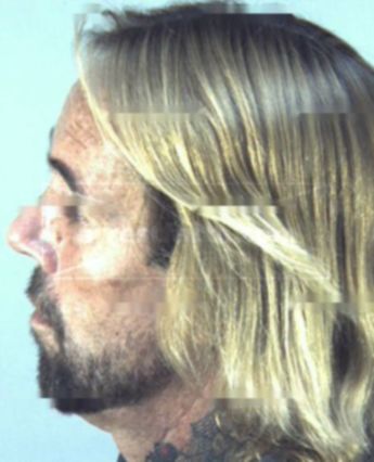 Brian Leslie Reddick Sr.