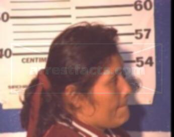 Leticia Aceundo Ramirez