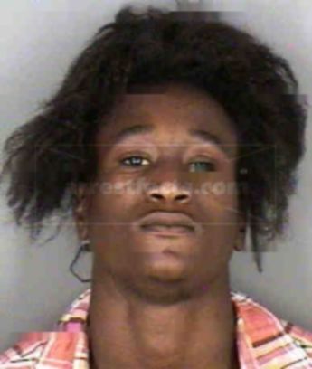 Gerbi Turner