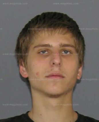 Michael J Shively