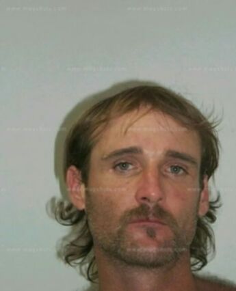 Jason D Shelton