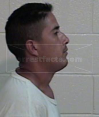 Ramon Alaniz Torres