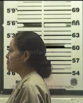 Sylvia Tenorio