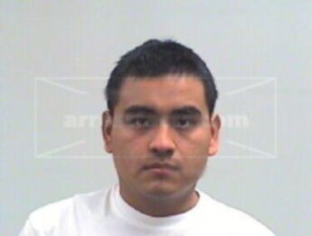 Hector D Nemecio