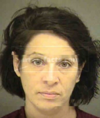 Mary Ann Messerschmidt