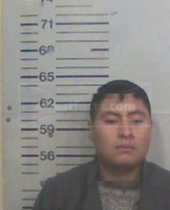 Julio Gomez-Hernandez