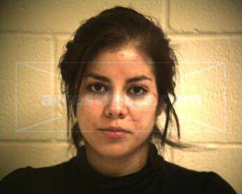 Cynthia Edith Alanis Garcia