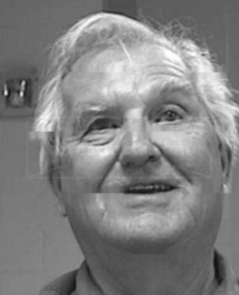 Gene Hubert Wethington