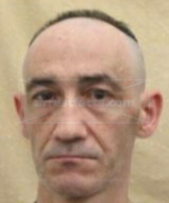 Andrea Rotello
