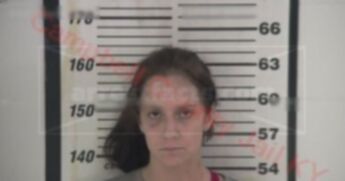 Ashley Nicole Radenheimer