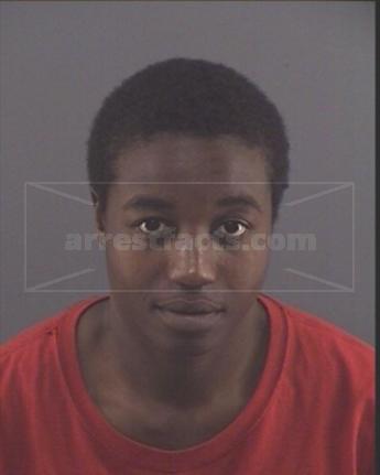 Sidney Shenetta Bell-Young