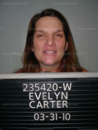 Evelyn Carter