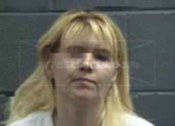 Sherry Ann Lundy