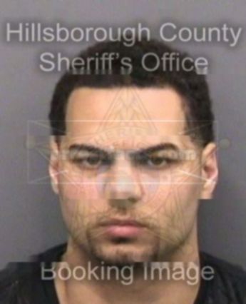 Michael Joel Disla