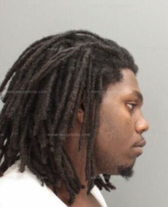 Brandon L Ware