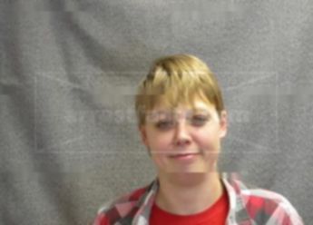 Randi L Goebel