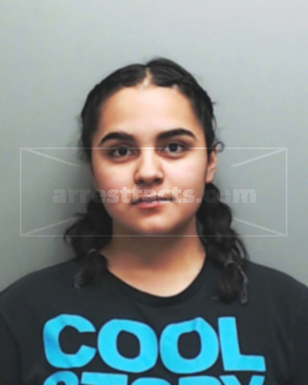Megan Lottivine Hamilton