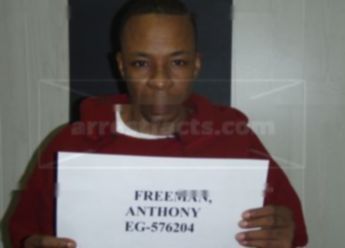 Anthony Fitzgerald Freeman