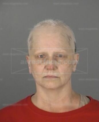 Nancy Ann Holman