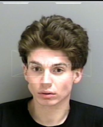 David James Elkins