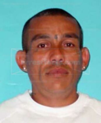 Juan L Leon