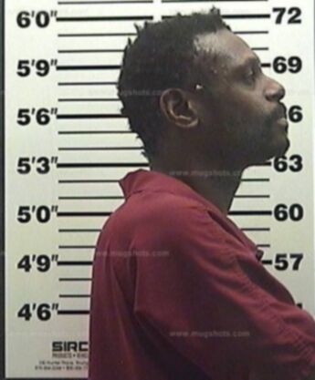 Thomas D Hill