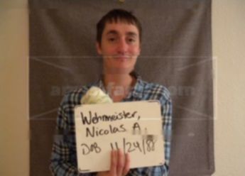 Nicolas A Wehrmeister