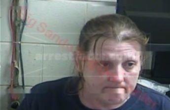 Lori L Hall