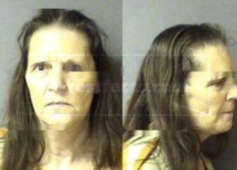 Cheryl Lynne Adams-Johnson