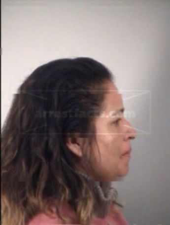 Luz Angela Torres-Villegas