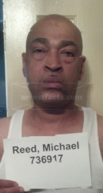 Michael Reed