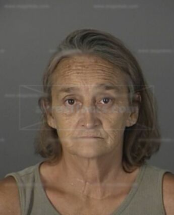 Susan D Syracuse