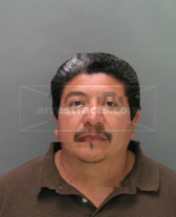 Palomo Pablo
